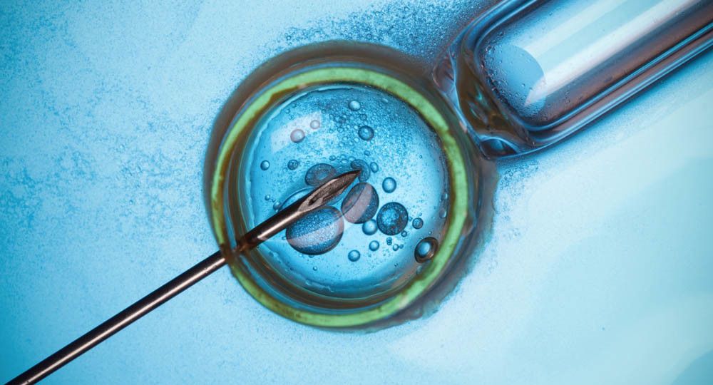 AMH and Fertility: The Pro's and Con's of Low AMH and IVF